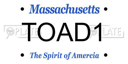 TOAD1 Massachusetts License Plate