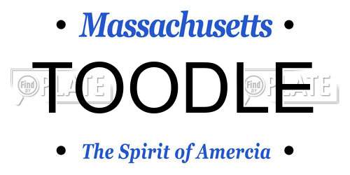 TOODLE Massachusetts License Plate