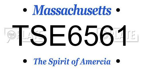 TSE6561 Massachusetts License Plate