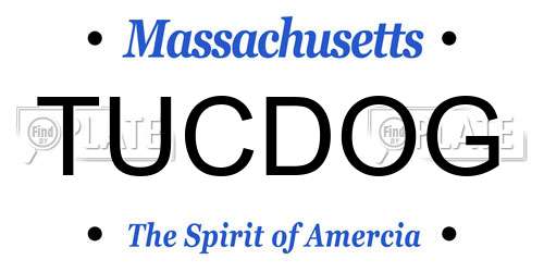 TUCDOG Massachusetts License Plate