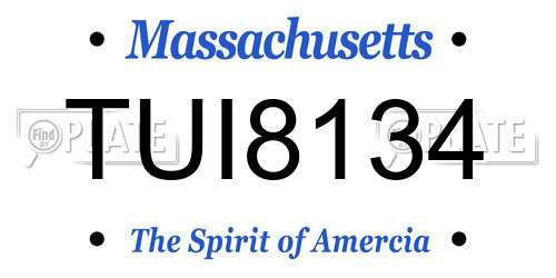 TUI8134 Massachusetts License Plate