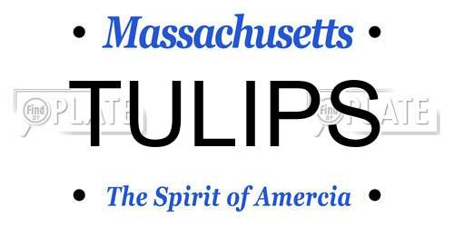 TULIPS Massachusetts License Plate
