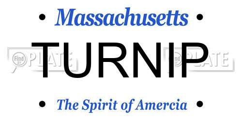 TURNIP Massachusetts License Plate
