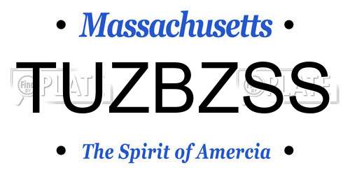 TUZBZSS Massachusetts License Plate