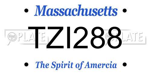 TZI288 Massachusetts License Plate