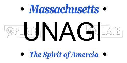 UNAGI Massachusetts License Plate