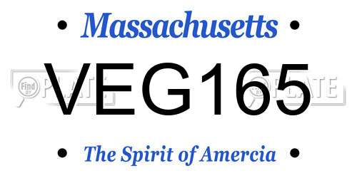 VEG165 Massachusetts License Plate