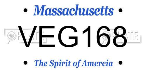 VEG168 Massachusetts License Plate