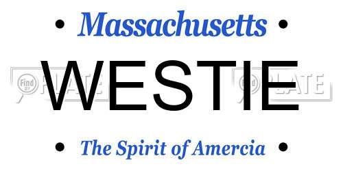 WESTIE Massachusetts License Plate