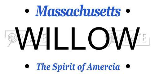 WILLOW Massachusetts License Plate