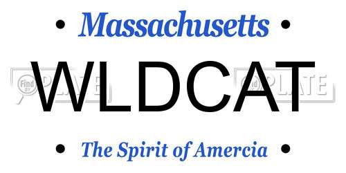 WLDCAT Massachusetts License Plate