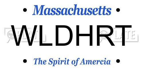 WLDHRT Massachusetts License Plate