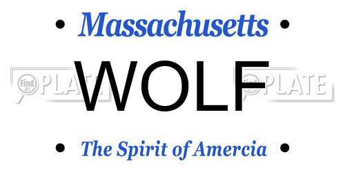 WOLF Massachusetts License Plate