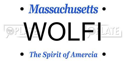 WOLFI Massachusetts License Plate