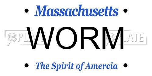 WORM Massachusetts License Plate