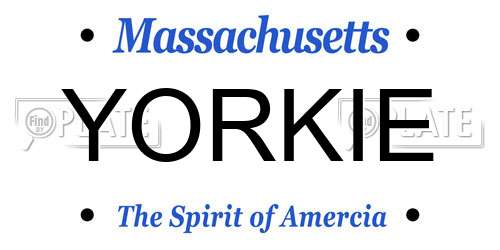 YORKIE Massachusetts License Plate