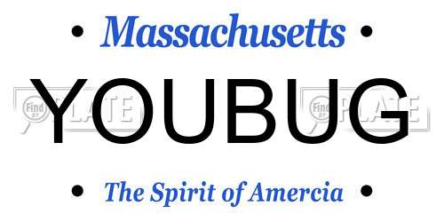 YOUBUG Massachusetts License Plate