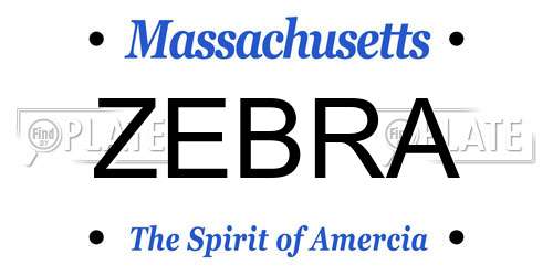 ZEBRA Massachusetts License Plate
