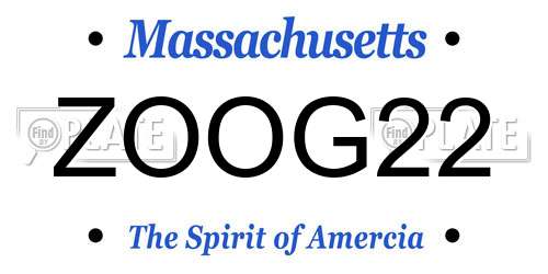 ZOOG22 Massachusetts License Plate