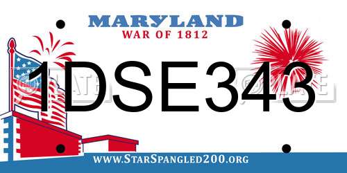 1DSE343 Maryland License Plate