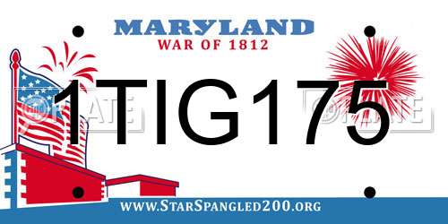 1TIG175 Maryland License Plate