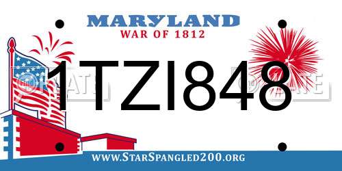 1TZI848 Maryland License Plate