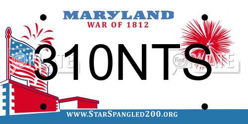 310NTS Maryland License Plate