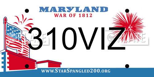 310VIZ Maryland License Plate