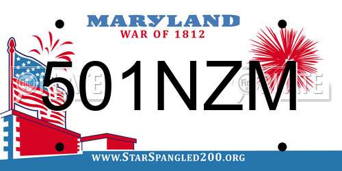 501NZM Maryland License Plate
