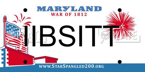 IIBSITT Maryland License Plate