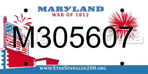 M305607 Maryland License Plate