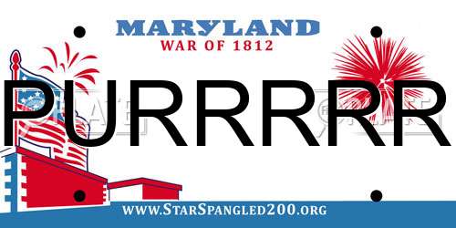PURRRRR Maryland License Plate