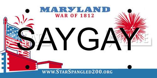 SAYGAY Maryland License Plate