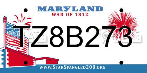 TZ8B273 Maryland License Plate