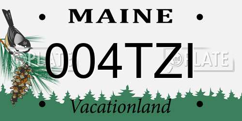 004TZI Maine License Plate