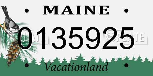 0135925 Maine License Plate