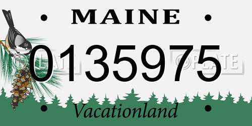 0135975 Maine License Plate