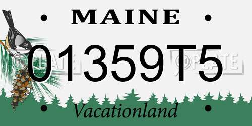 01359T5 Maine License Plate