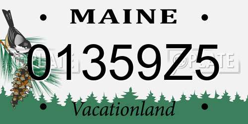 01359Z5 Maine License Plate