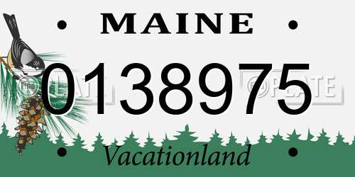 0138975 Maine License Plate