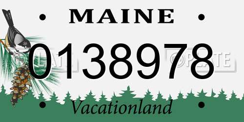 0138978 Maine License Plate