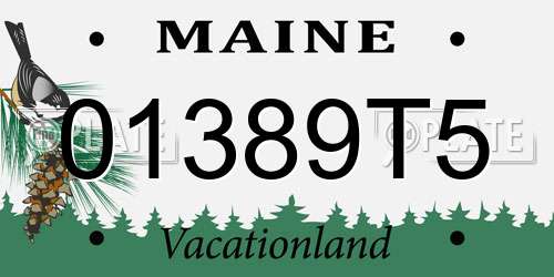 01389T5 Maine License Plate
