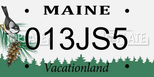 013JS5 Maine License Plate