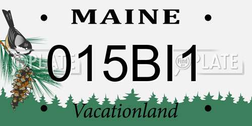 015BI1 Maine License Plate
