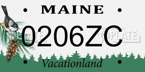 0206ZC Maine License Plate