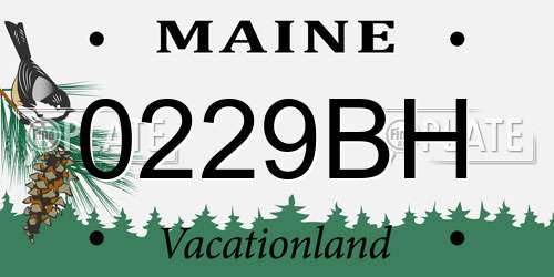 0229BH Maine License Plate