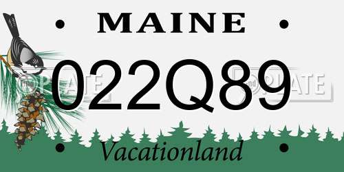 022Q89 Maine License Plate