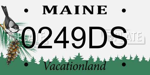 0249DS Maine License Plate