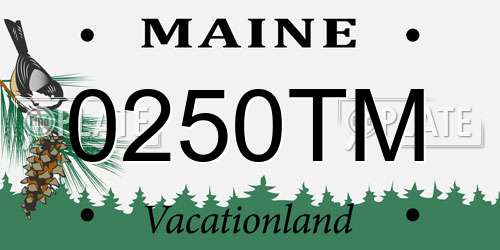0250TM Maine License Plate