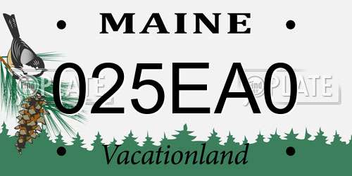 025EA0 Maine License Plate